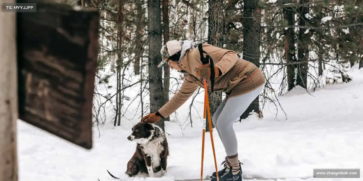 南宫NG28🥊挑战自我,突破极限 —— 这里,见证每一次蜕变的力量!